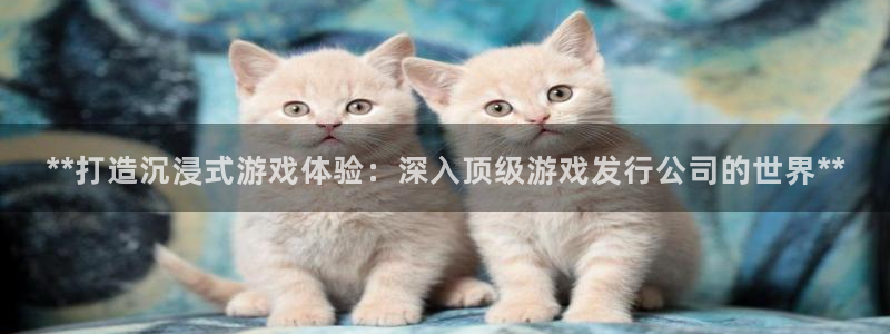 新航娱乐扣款后还能重新扣费吗：**打造沉浸式游戏体验：深入顶级游戏发行公司的世界**