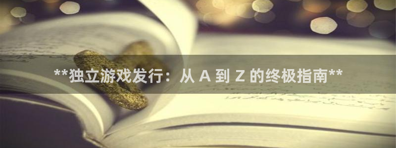 新航娱乐公司简介和历史背景怎么写：**独立游戏发行：从 A 到 Z 的终极指南**
