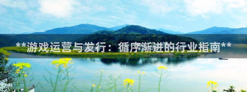 新航娱乐旗下艺人列表：**游戏运营与发行：循序渐进的行业指南**