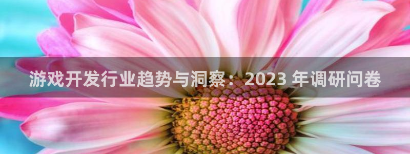 新航娱乐官网下载app：游戏开发行业趋势与洞察：2023 年调研问卷