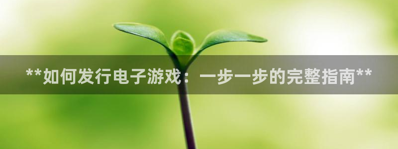 新航娱乐的股东名单和背景介绍是什么：**如何发行电子游戏：一步一步的完整指南**
