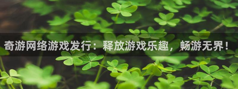 新航娱乐app官方免费下载：奇游网络游戏发行：释放游戏乐趣，畅游无界！