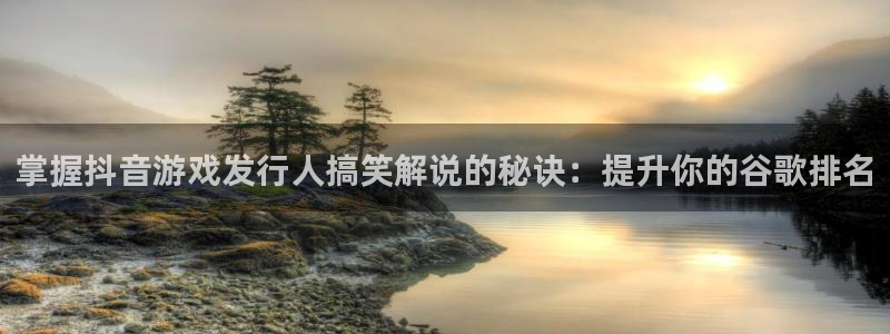 新航娱乐公司扣费流程详解表图片：掌握抖音游戏发行人搞笑解说的秘诀：提升你的谷歌排名