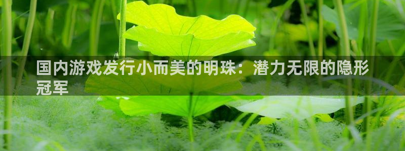 新航娱乐的员工工资福利及待遇：国内游戏发行小而美的明珠：潜力无限的隐形
冠军