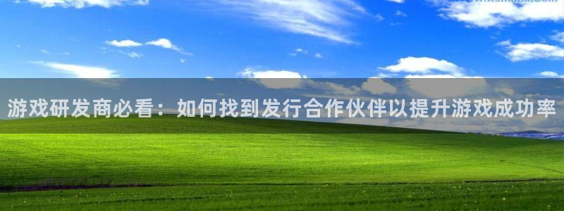 新航娱乐总代理是谁：游戏研发商必看：如何找到发行合作伙伴以提升游戏成功率