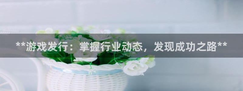 新航娱乐的最新版本更新内容：**游戏发行：掌握行业动态，发现成功之路**