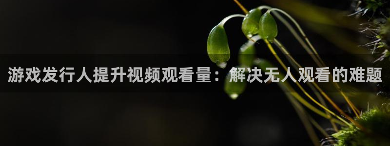 新航娱乐app官方免费下载苹果：游戏发行人提升视频观看量：解决无人观看的难题