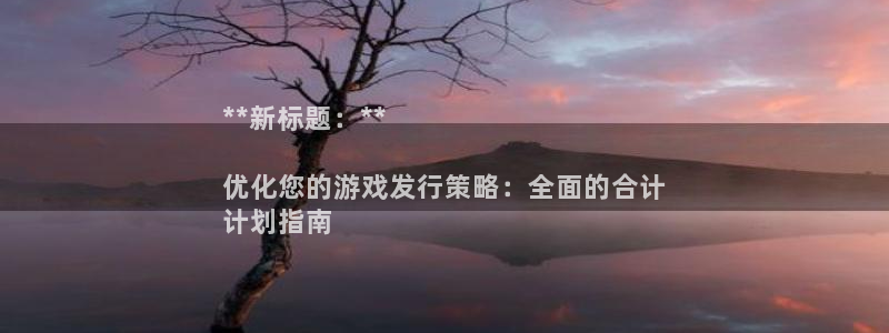 新航娱乐公司旗下艺人：**新标题：**

优化您的游戏发行策略：全面的合计
计划指南