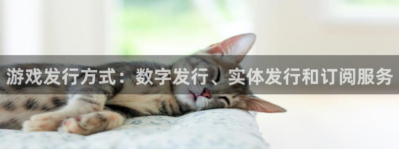 新航娱乐公司扣费流程详解表最新：游戏发行方式：数字发行、实体发行和订阅服务