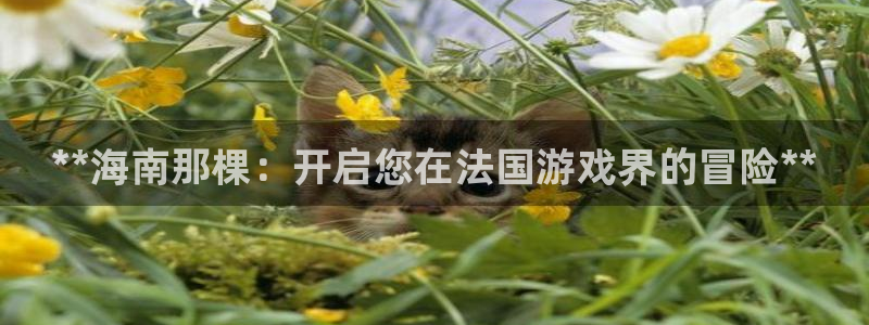 新航娱乐到.3.3.4.8.2新航娱乐.可以吗.长久.中国