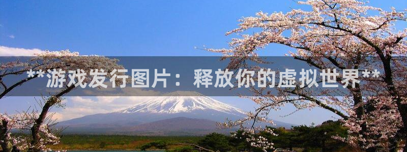 新航娱乐官网最新版本更新内容下载