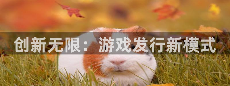 新航娱乐扣款后还能重新扣吗现在