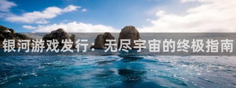 新航娱乐公司扣费流程详解图表