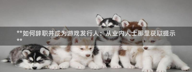 新航娱乐公司旗下艺人：**如何辞职并成为游戏发行人：从业内人士那里获取提示
**