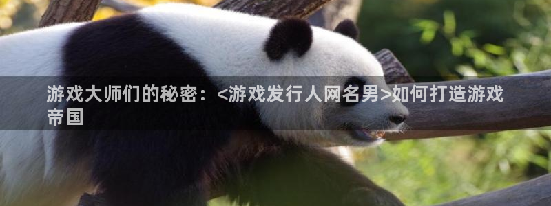 新航娱乐扣款后还能重新扣吗现在：游戏大师们的秘密：<游戏发行人网名男>如何打造游戏
帝国