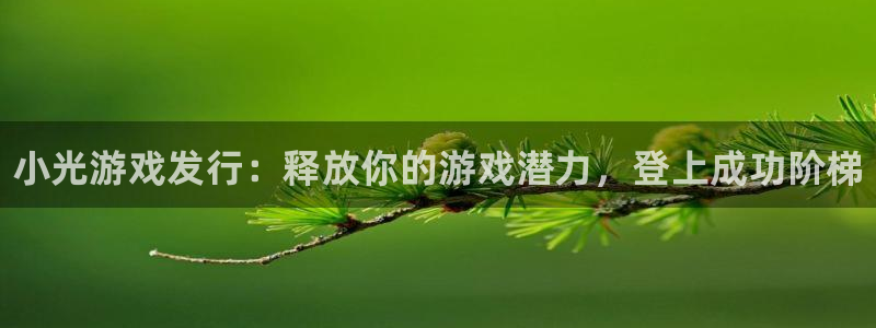 新航娱乐扣款后还能重新扣费吗知乎：小光游戏发行：释放你的游戏潜力，登上成功阶梯