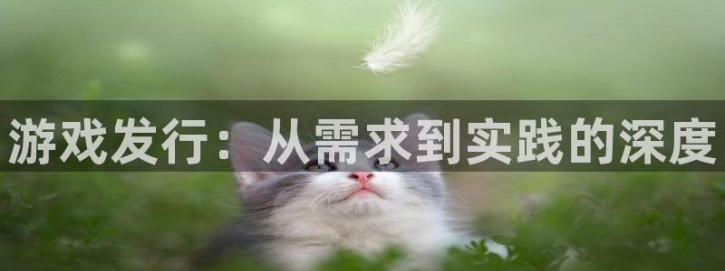 新航娱乐旗下平台有哪些