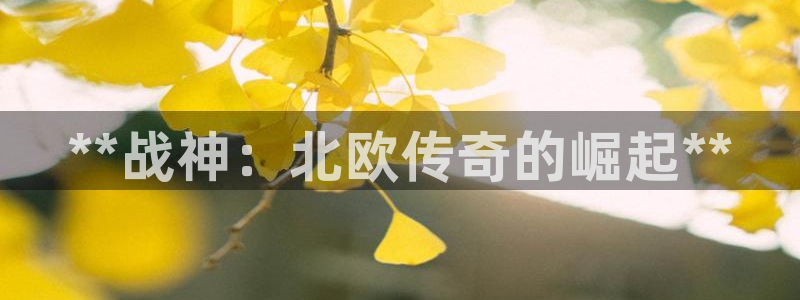 新航娱乐公司简介和历史背景介绍