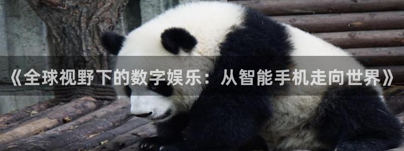 新航娱乐挂机.直开.中国(官方下载)