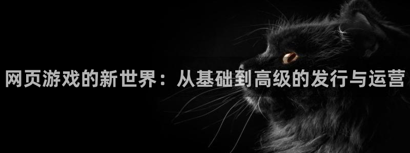 新航娱乐旗下艺人名单表：网页游戏的新世界：从基础到高级的发行与运营