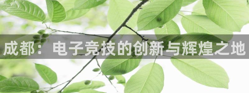 新航娱乐的员工工资福利及待遇：成都：电子竞技的创新与辉煌之地