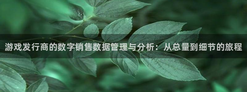 新航娱乐app最新版本更新内容在哪：游戏发行商的数字销售数据管理与分析：从总量到细节的旅程