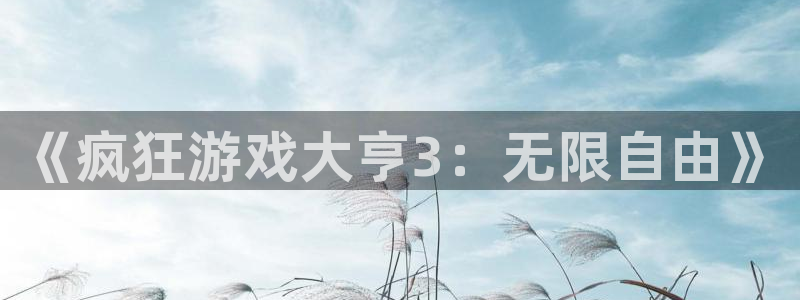 新航娱乐扣款后还能重新扣费吗怎么办：《疯狂游戏大亨3：无限自由》