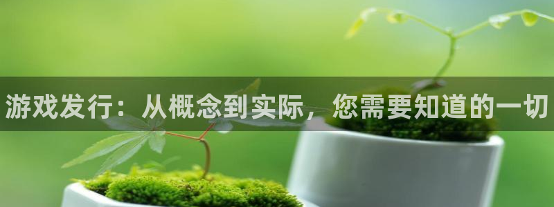 新航娱乐集团最新消息官网