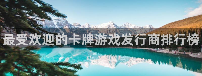 新航娱乐的股东名单和背景介绍是什么